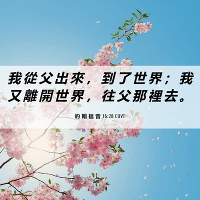 Picture 06 - 約 翰 福 音 16:28 CUVT - 我 從 父 出 來 ， 到 了 世 界 ； 我 - Bible Verse Picture
