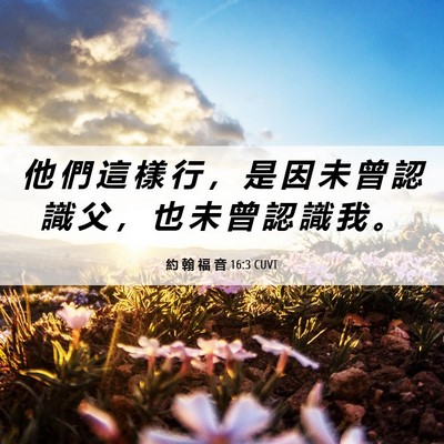 Picture 06 - 約 翰 福 音 16:3 CUVT - 他 們 這 樣 行 ， 是 因 未 曾 認 識 - Bible Verse Picture