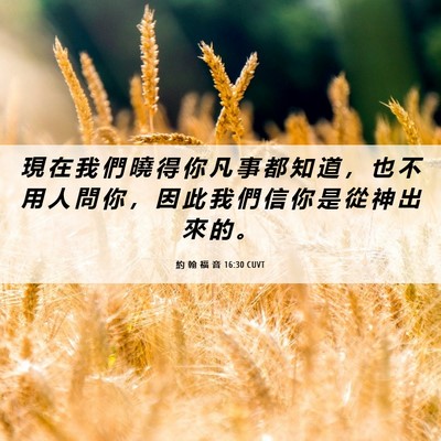 Picture 06 - 約 翰 福 音 16:30 CUVT - 現 在 我 們 曉 得 你 凡 事 都 知 道 - Bible Verse Picture