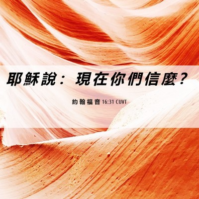 Picture 06 - 約 翰 福 音 16:31 CUVT - 耶 穌 說 ： 現 在 你 們 信 麼 - Bible Verse Picture