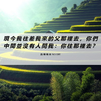 Picture 06 - 約 翰 福 音 16:5 CUVT - 現 今 我 往 差 我 來 的 父 那 裡 去 - Bible Verse Picture
