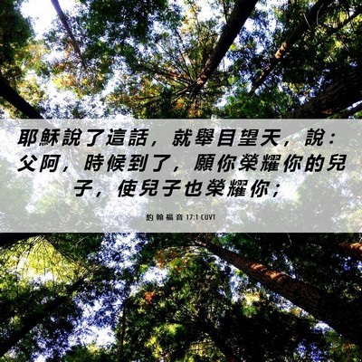Picture 06 - 約 翰 福 音 17:1 CUVT - 耶 穌 說 了 這 話 ， 就 舉 目 望 天 - Bible Verse Picture