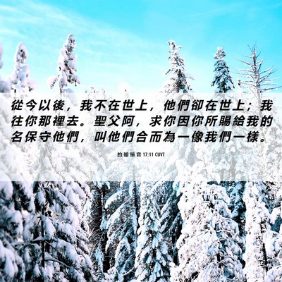 Picture 06 - 約 翰 福 音 17:11 CUVT - 從 今 以 後 ， 我 不 在 世 上 ， 他 - Bible Verse Picture