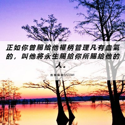 Picture 06 - 約 翰 福 音 17:2 CUVT - 正 如 你 曾 賜 給 他 權 柄 管 理 凡 - Bible Verse Picture
