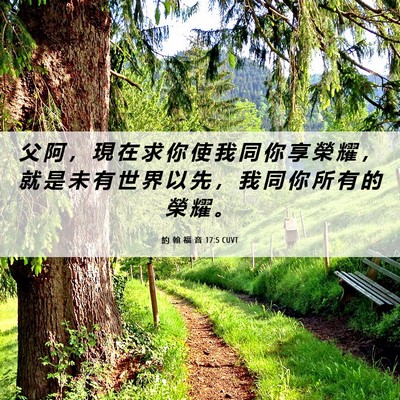 Picture 06 - 約 翰 福 音 17:5 CUVT - 父 阿 ， 現 在 求 你 使 我 同 你 享 - Bible Verse Picture