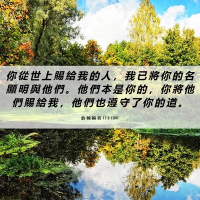 Picture 06 - 約 翰 福 音 17:6 CUVT - 你 從 世 上 賜 給 我 的 人 ， 我 已 - Bible Verse Picture