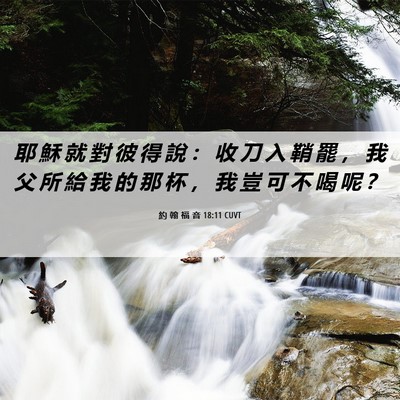 Picture 06 - 約 翰 福 音 18:11 CUVT - 耶 穌 就 對 彼 得 說 ： 收 刀 入 鞘 - Bible Verse Picture