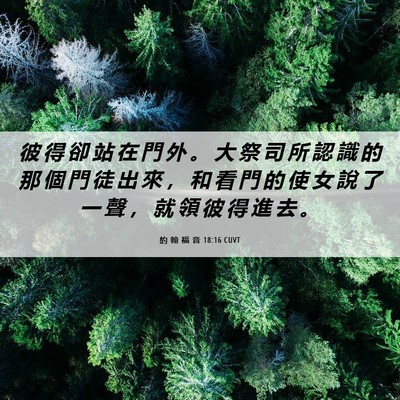Picture 06 - 約 翰 福 音 18:16 CUVT - 彼 得 卻 站 在 門 外 。 大 祭 司 所 - Bible Verse Picture