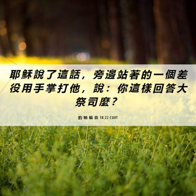 Picture 06 - 約 翰 福 音 18:22 CUVT - 耶 穌 說 了 這 話 ， 旁 邊 站 著 的 - Bible Verse Picture