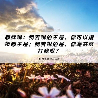 Picture 06 - 約 翰 福 音 18:23 CUVT - 耶 穌 說 ： 我 若 說 的 不 是 ， 你 - Bible Verse Picture
