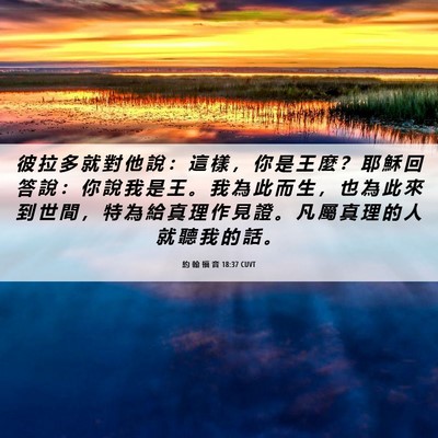 Picture 06 - 約 翰 福 音 18:37 CUVT - 彼 拉 多 就 對 他 說 ： 這 樣 ， 你 - Bible Verse Picture