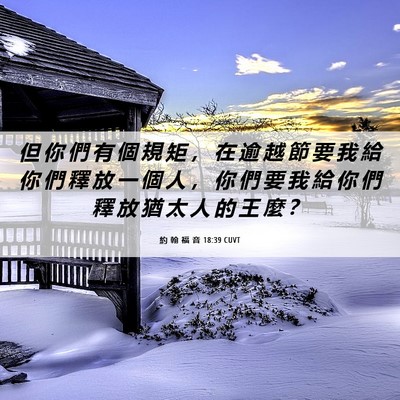 Picture 06 - 約 翰 福 音 18:39 CUVT - 但 你 們 有 個 規 矩 ， 在 逾 越 節 - Bible Verse Picture