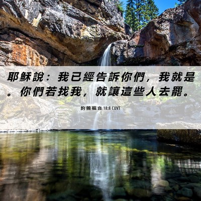Picture 06 - 約 翰 福 音 18:8 CUVT - 耶 穌 說 ： 我 已 經 告 訴 你 們 ， - Bible Verse Picture