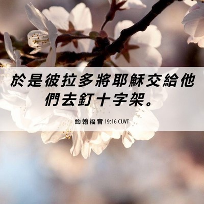 Picture 06 - 約 翰 福 音 19:16 CUVT - 於 是 彼 拉 多 將 耶 穌 交 給 他 們 - Bible Verse Picture