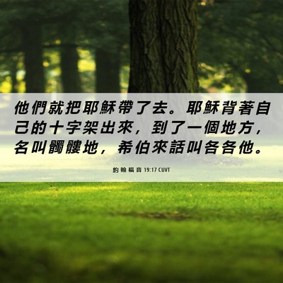 Picture 06 - 約 翰 福 音 19:17 CUVT - 他 們 就 把 耶 穌 帶 了 去 。 耶 穌 - Bible Verse Picture