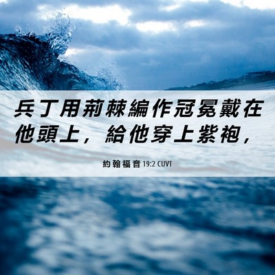 Picture 06 - 約 翰 福 音 19:2 CUVT - 兵 丁 用 荊 棘 編 作 冠 冕 戴 在 他 - Bible Verse Picture
