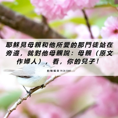 Picture 06 - 約 翰 福 音 19:26 CUVT - 耶 穌 見 母 親 和 他 所 愛 的 那 門 - Bible Verse Picture