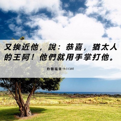 Picture 06 - 約 翰 福 音 19:3 CUVT - 又 挨 近 他 ， 說 ： 恭 喜 ， 猶 太 - Bible Verse Picture