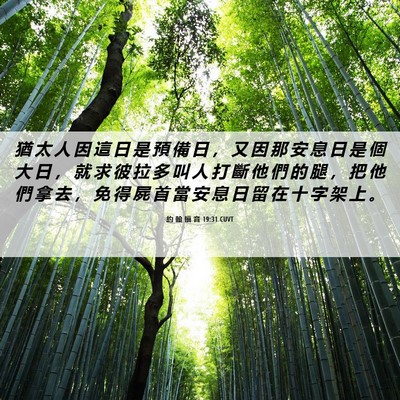 Picture 06 - 約 翰 福 音 19:31 CUVT - 猶 太 人 因 這 日 是 預 備 日 ， 又 - Bible Verse Picture