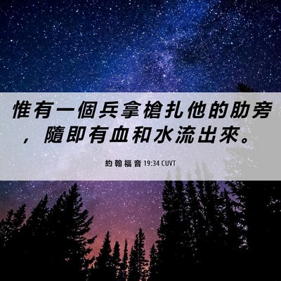 Picture 06 - 約 翰 福 音 19:34 CUVT - 惟 有 一 個 兵 拿 槍 扎 他 的 肋 旁 - Bible Verse Picture
