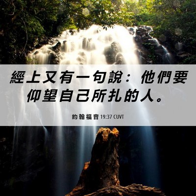 Picture 06 - 約 翰 福 音 19:37 CUVT - 經 上 又 有 一 句 說 ： 他 們 要 仰 - Bible Verse Picture