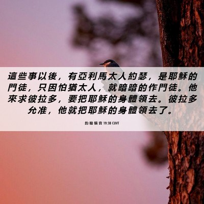 Picture 06 - 約 翰 福 音 19:38 CUVT - 這 些 事 以 後 ， 有 亞 利 馬 太 人 - Bible Verse Picture
