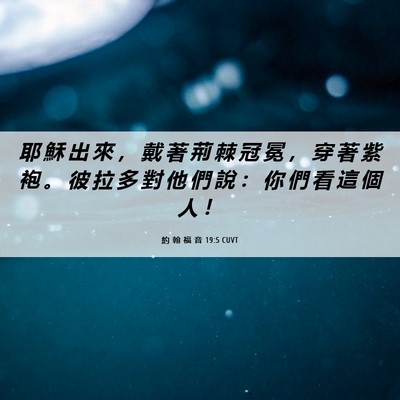 Picture 06 - 約 翰 福 音 19:5 CUVT - 耶 穌 出 來 ， 戴 著 荊 棘 冠 冕 ， - Bible Verse Picture