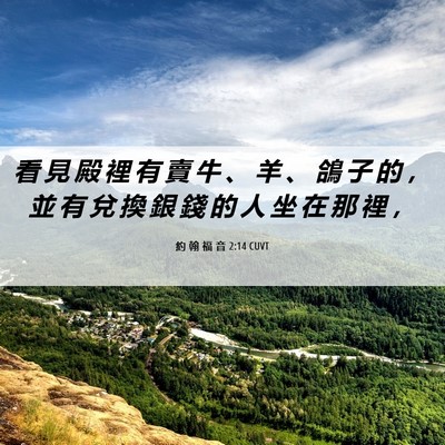 Picture 06 - 約 翰 福 音 2:14 CUVT - 看 見 殿 裡 有 賣 牛 、 羊 、 鴿 子 - Bible Verse Picture