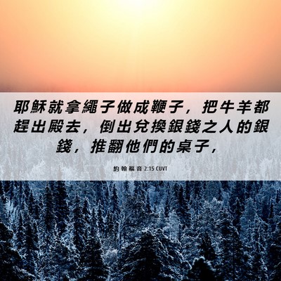 Picture 06 - 約 翰 福 音 2:15 CUVT - 耶 穌 就 拿 繩 子 做 成 鞭 子 ， 把 - Bible Verse Picture