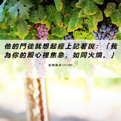 Picture 06 - 約 翰 福 音 2:17 CUVT - 他 的 門 徒 就 想 起 經 上 記 著 說 - Bible Verse Picture