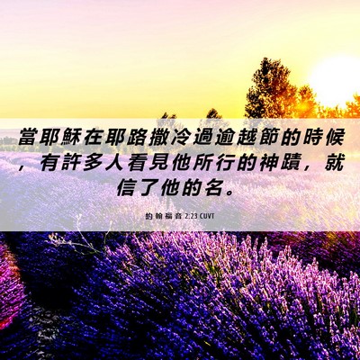 Picture 06 - 約 翰 福 音 2:23 CUVT - 當 耶 穌 在 耶 路 撒 冷 過 逾 越 節 - Bible Verse Picture