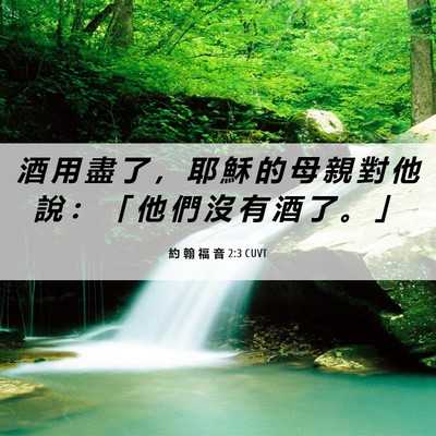 Picture 06 - 約 翰 福 音 2:3 CUVT - 酒 用 盡 了 ， 耶 穌 的 母 親 對 他 - Bible Verse Picture
