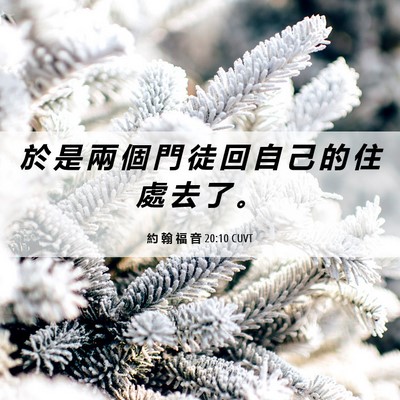 Picture 06 - 約 翰 福 音 20:10 CUVT - 於 是 兩 個 門 徒 回 自 己 的 住 處 - Bible Verse Picture