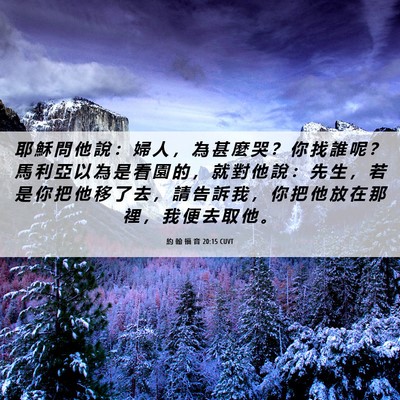 Picture 06 - 約 翰 福 音 20:15 CUVT - 耶 穌 問 他 說 ： 婦 人 ， 為 甚 麼 - Bible Verse Picture