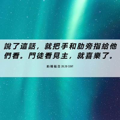 Picture 06 - 約 翰 福 音 20:20 CUVT - 說 了 這 話 ， 就 把 手 和 肋 旁 指 - Bible Verse Picture