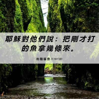 Picture 06 - 約 翰 福 音 21:10 CUVT - 耶 穌 對 他 們 說 ： 把 剛 才 打 的 - Bible Verse Picture