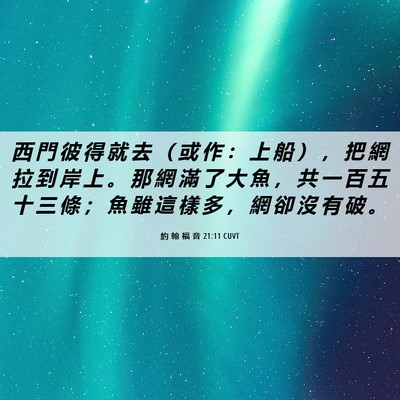 Picture 06 - 約 翰 福 音 21:11 CUVT - 西 門 彼 得 就 去 （ 或 作 ： 上 船 - Bible Verse Picture