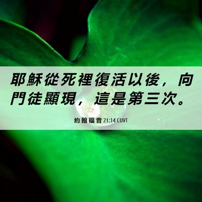 Picture 06 - 約 翰 福 音 21:14 CUVT - 耶 穌 從 死 裡 復 活 以 後 ， 向 門 - Bible Verse Picture