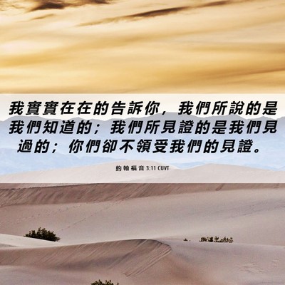 Picture 06 - 約 翰 福 音 3:11 CUVT - 我 實 實 在 在 的 告 訴 你 ， 我 們 - Bible Verse Picture