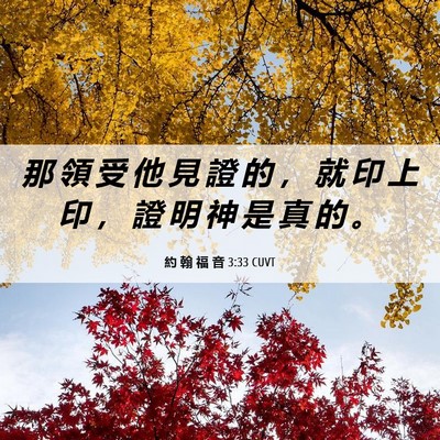 Picture 06 - 約 翰 福 音 3:33 CUVT - 那 領 受 他 見 證 的 ， 就 印 上 印 - Bible Verse Picture