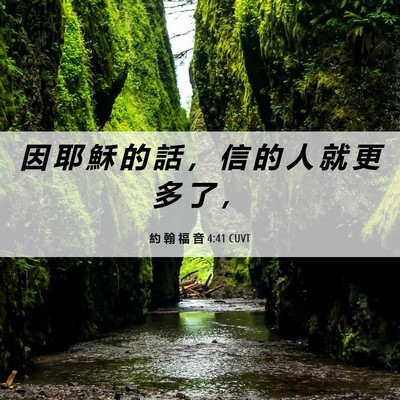 Picture 06 - 約 翰 福 音 4:41 CUVT - 因 耶 穌 的 話 ， 信 的 人 就 更 多 - Bible Verse Picture