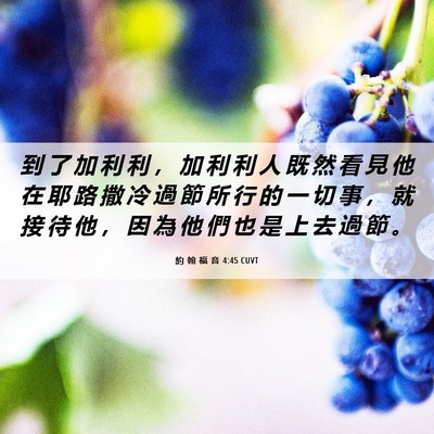 Picture 06 - 約 翰 福 音 4:45 CUVT - 到 了 加 利 利 ， 加 利 利 人 既 然 - Bible Verse Picture