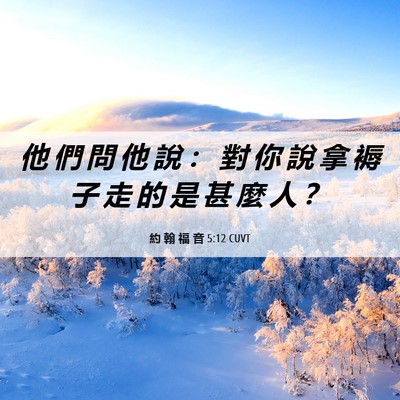Picture 06 - 約 翰 福 音 5:12 CUVT - 他 們 問 他 說 ： 對 你 說 拿 褥 子 - Bible Verse Picture