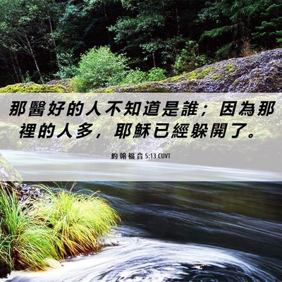 Picture 06 - 約 翰 福 音 5:13 CUVT - 那 醫 好 的 人 不 知 道 是 誰 ； 因 - Bible Verse Picture