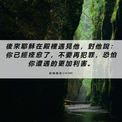 Picture 06 - 約 翰 福 音 5:14 CUVT - 後 來 耶 穌 在 殿 裡 遇 見 他 ， 對 - Bible Verse Picture