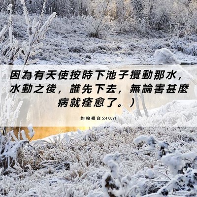 Picture 06 - 約 翰 福 音 5:4 CUVT - 因 為 有 天 使 按 時 下 池 子 攪 動 - Bible Verse Picture