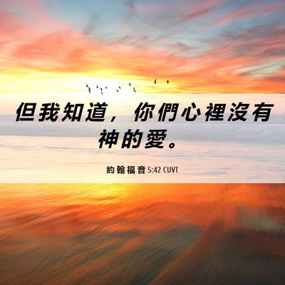 Picture 06 - 約 翰 福 音 5:42 CUVT - 但 我 知 道 ， 你 們 心 裡 沒 有 神 - Bible Verse Picture