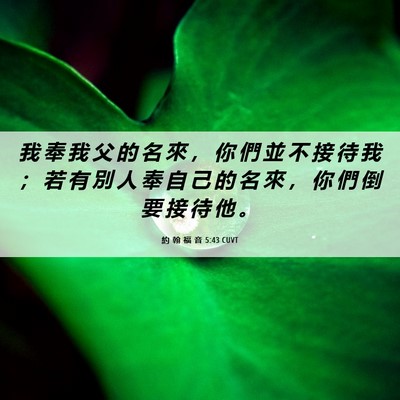 Picture 06 - 約 翰 福 音 5:43 CUVT - 我 奉 我 父 的 名 來 ， 你 們 並 不 - Bible Verse Picture