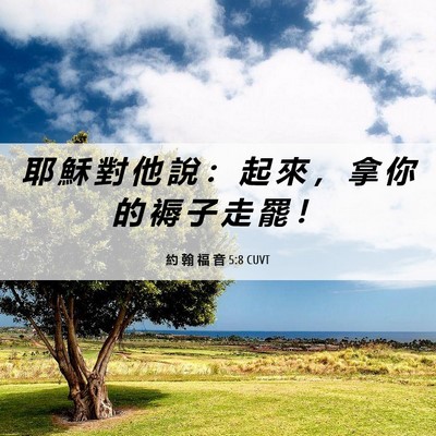 Picture 06 - 約 翰 福 音 5:8 CUVT - 耶 穌 對 他 說 ： 起 來 ， 拿 你 的 - Bible Verse Picture