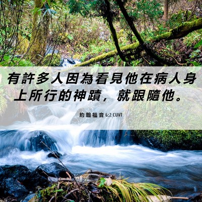 Picture 06 - 約 翰 福 音 6:2 CUVT - 有 許 多 人 因 為 看 見 他 在 病 人 - Bible Verse Picture